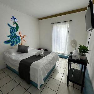 Hotel El Mexicano Tepic Centro